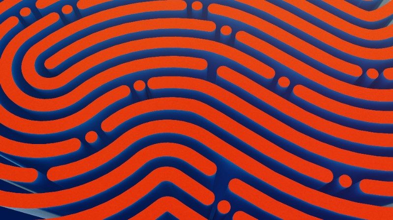 What is Digital Company ID? CFIT’s blueprint for fraud prevention