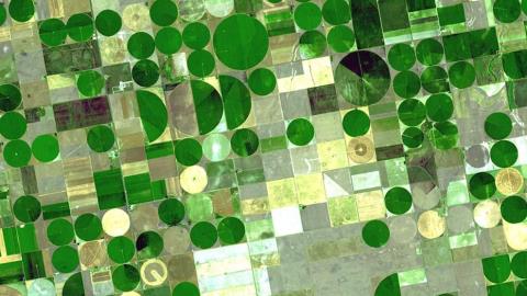 Davos: Zumo releases MiCA readiness report
