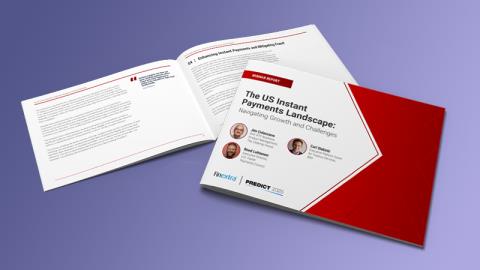 The US Instant Payments Landscape: Navigating Growth and Challenges
