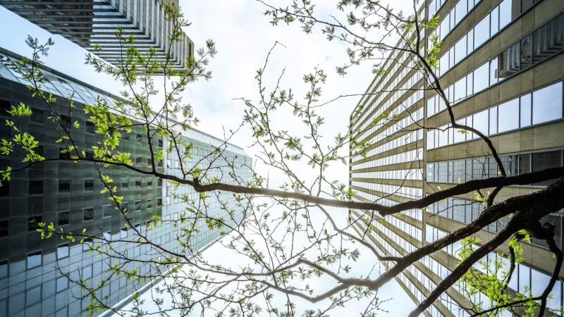 BeZero Carbon raises $32 million