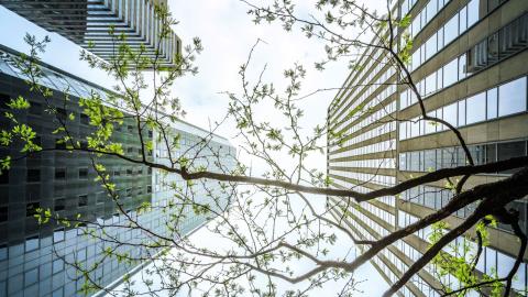 BeZero Carbon raises $32 million