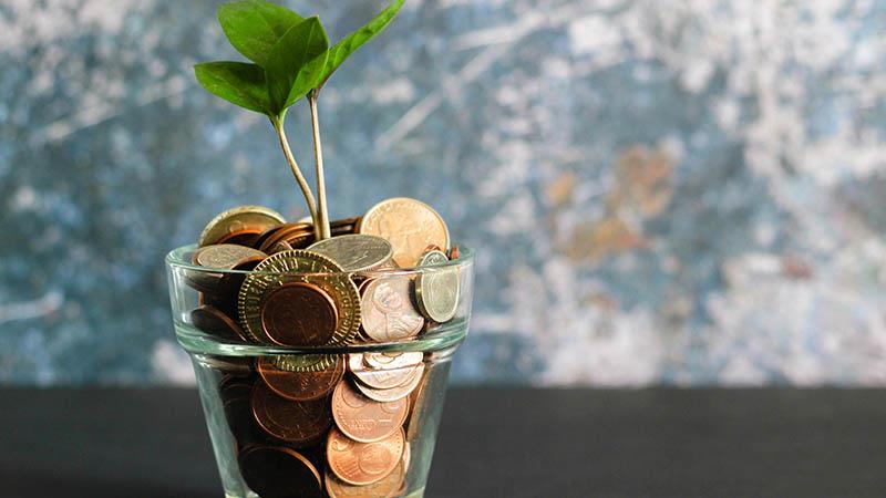 Northern Trust: 21% of private market investors allocate to crypto and digital assets