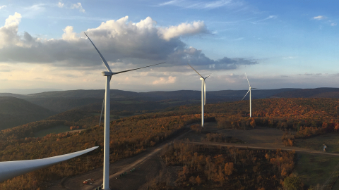 Sustainable Finance Live 2024: The role of ESG data in the nature capital marketplace